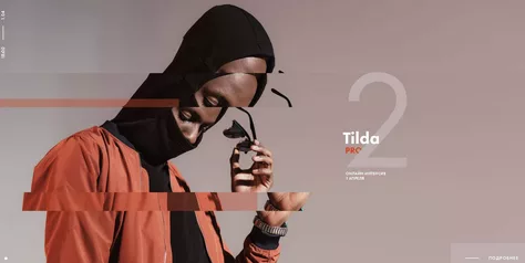 [Максим Ширко] Онлайн интенсив_ Tilda Pro 2_0.png